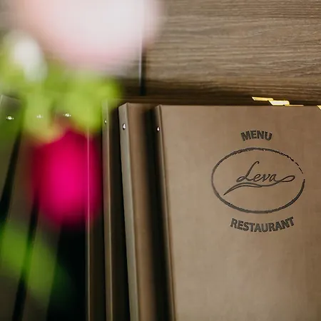 Leva - Hotel 2*